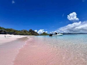 Pink beach paket labuan bajo vaneta travel
